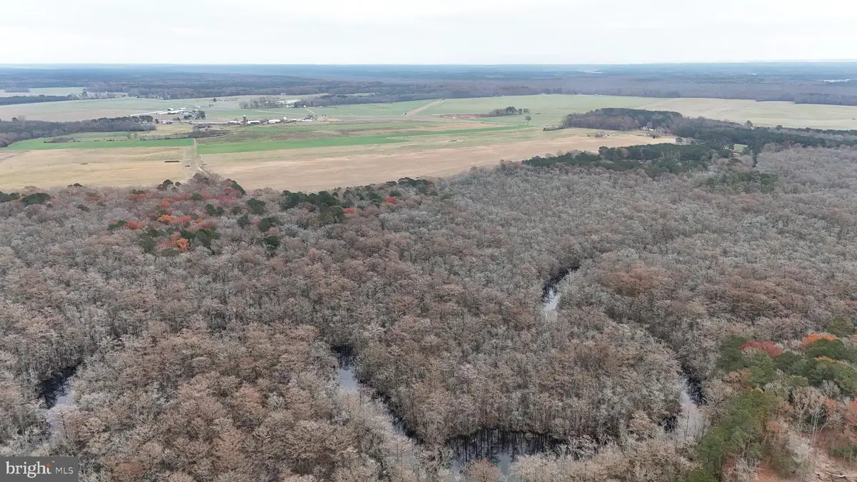 0 Fleming Mill, Pocomoke City, MD 21851 - #1