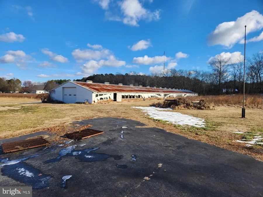 10010 Friendship Rd, Berlin, MD 21811 - #3