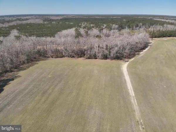 Rt 12, SNOW HILL, MD 21863