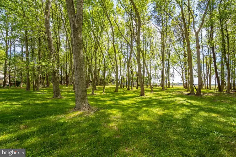 9933 Main St, Berlin, MD 21811 - #3