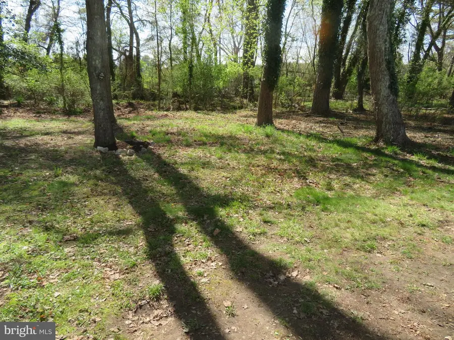 219 Timberline Cir, Berlin, MD 21811 - #2