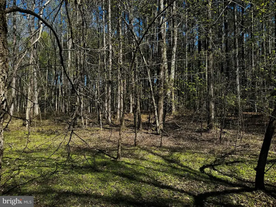 0 Public Landing Rd, Snow Hill, MD 21863 - #2