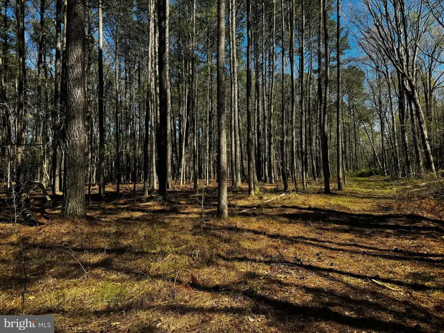 0 Public Landing Rd, Snow Hill, MD 21863 - #3