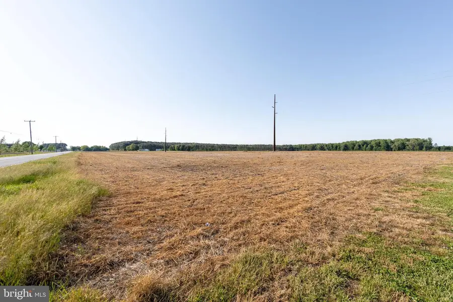 Lot 3 Old Ocean City Rd, Berlin, MD 21811 - #2