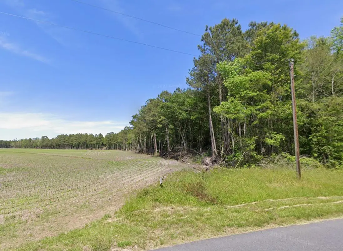 0 Mt Olive Church Rd, Snow Hill, MD 21863 - #1