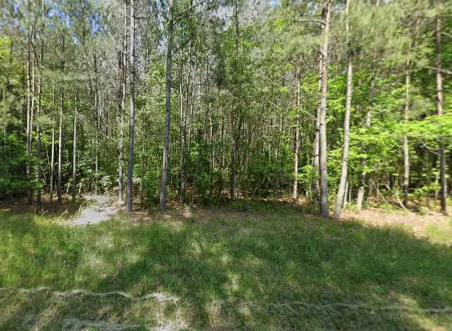 0 Mt Olive Church Rd, Snow Hill, MD 21863 - #2