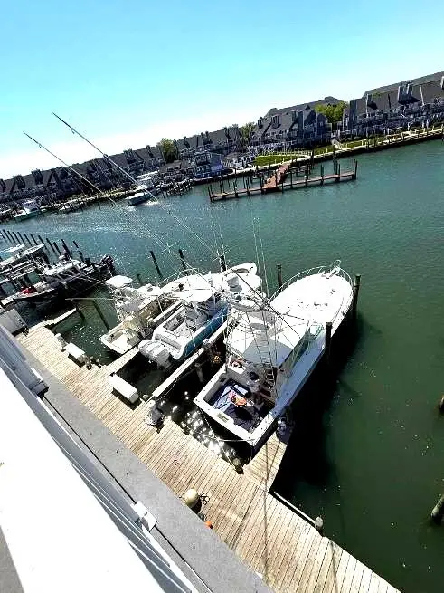 310 13th St #302, Ocean City, MD 21842 - #3