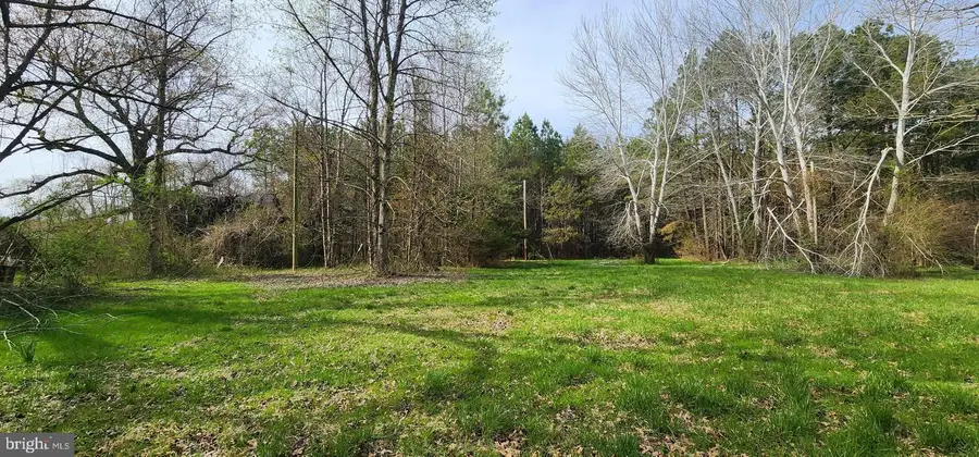 5911 C Rd, Snow Hill, MD 21863 - #3