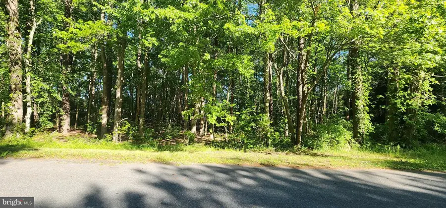 Lot 4 Keep, Snow Hill, MD 21863 - #2