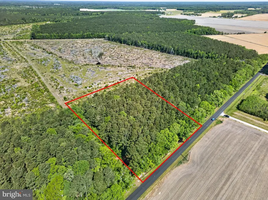 0 Downs, Newark, MD 21841 - #3