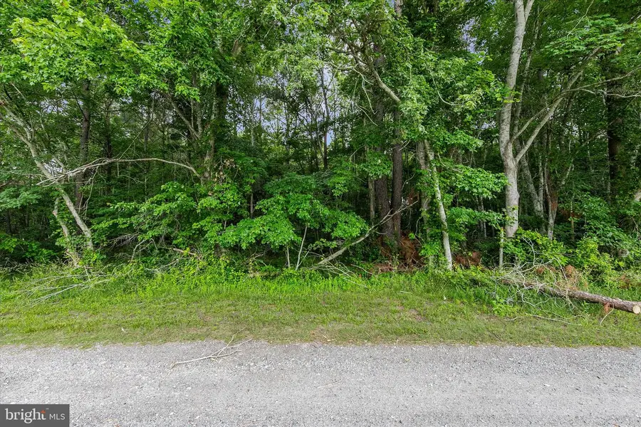 Lots 3 & 4 Bell Ln, Whaleyville, MD 21872 - #2