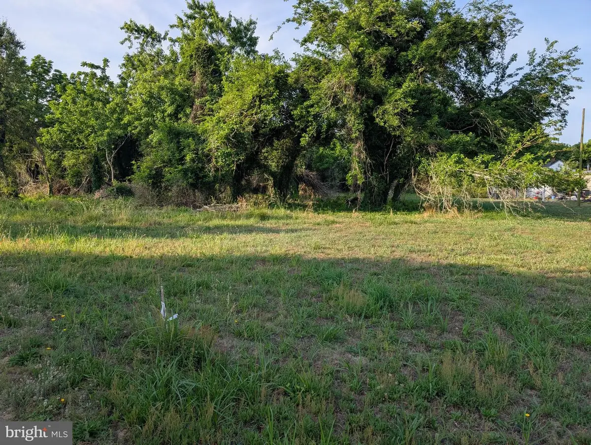 0 Camelia Ln, Berlin, MD 21811 - #1