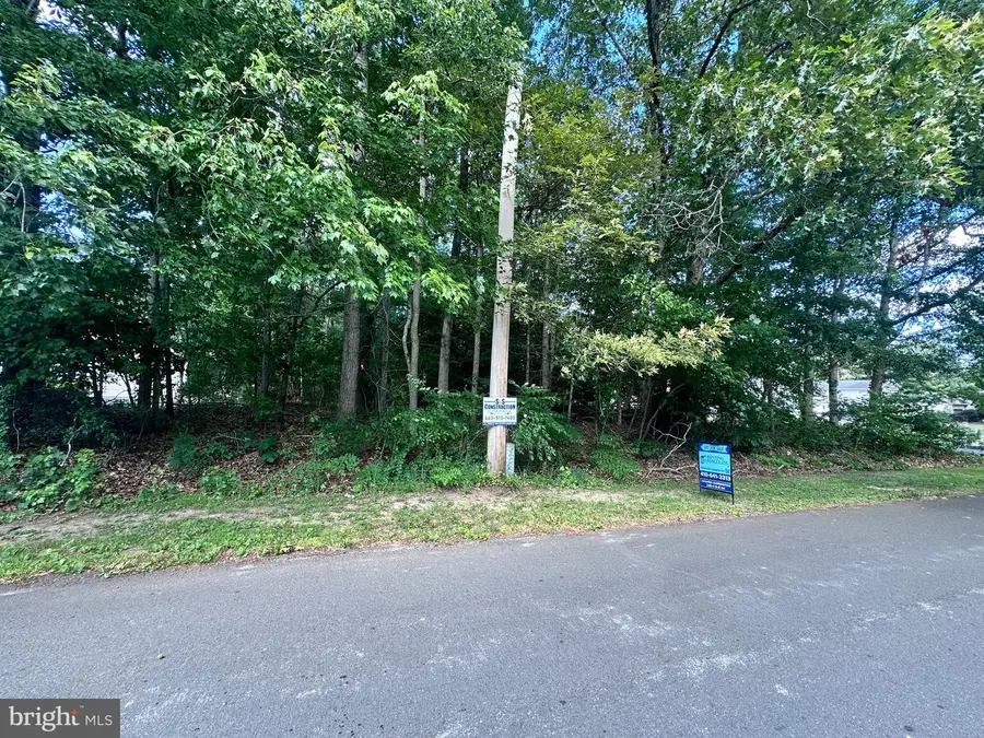 10005 Mason Rd, Berlin, MD 21811 - #3