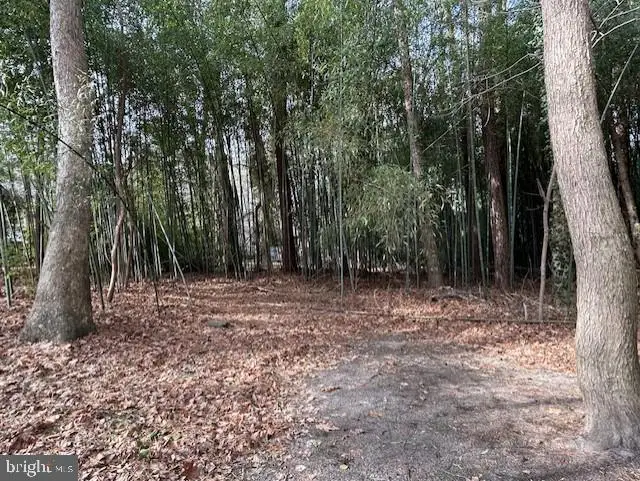 3 Mates Ct, Ocean Pines, MD 21811 - #3
