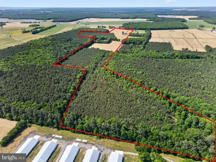 0 Ironshire Station Rd, Berlin, MD 21811 - #3