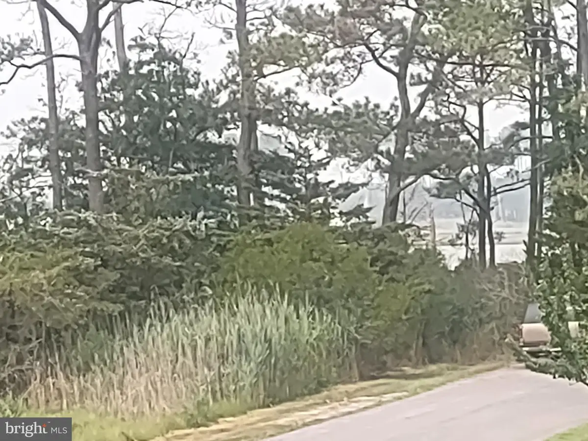 Salisbury Rd, Ocean City, MD 21842 - #1