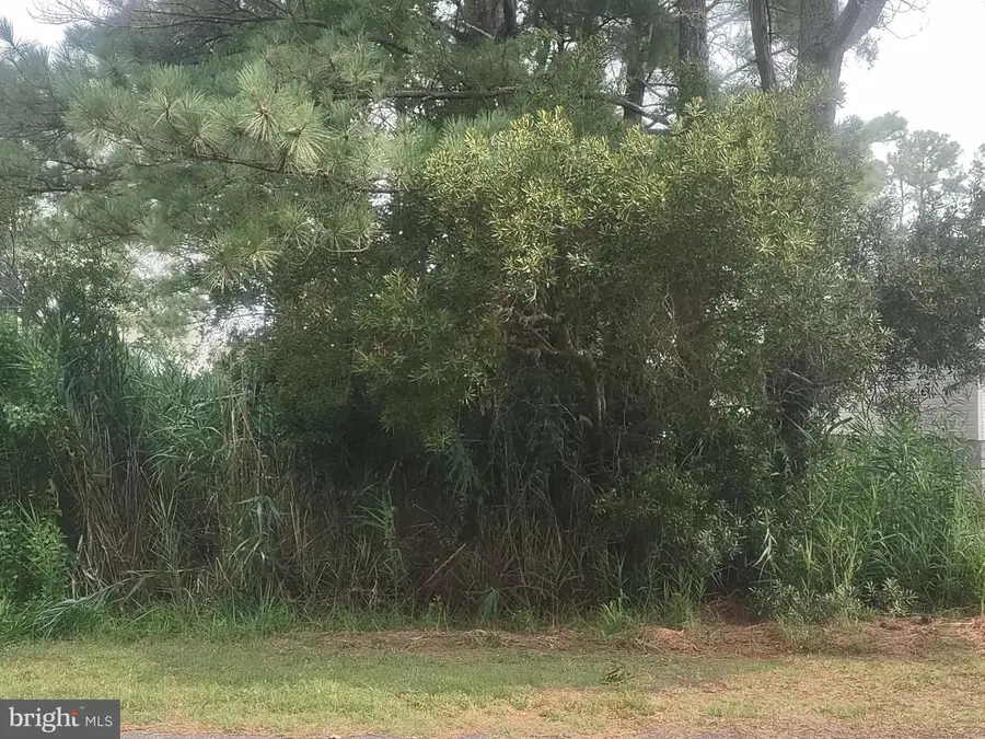 Salisbury Rd, Ocean City, MD 21842 - #2