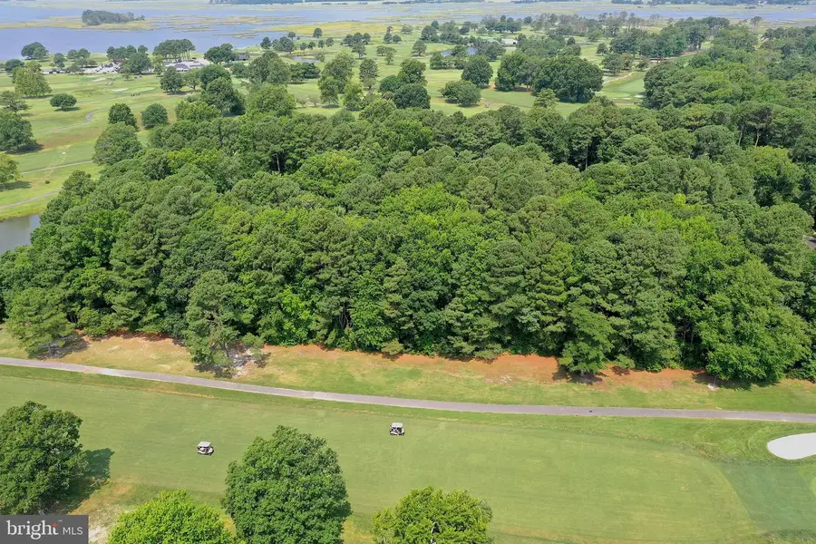 Lot 48 Quillin Way, Berlin, MD 21811 - #3