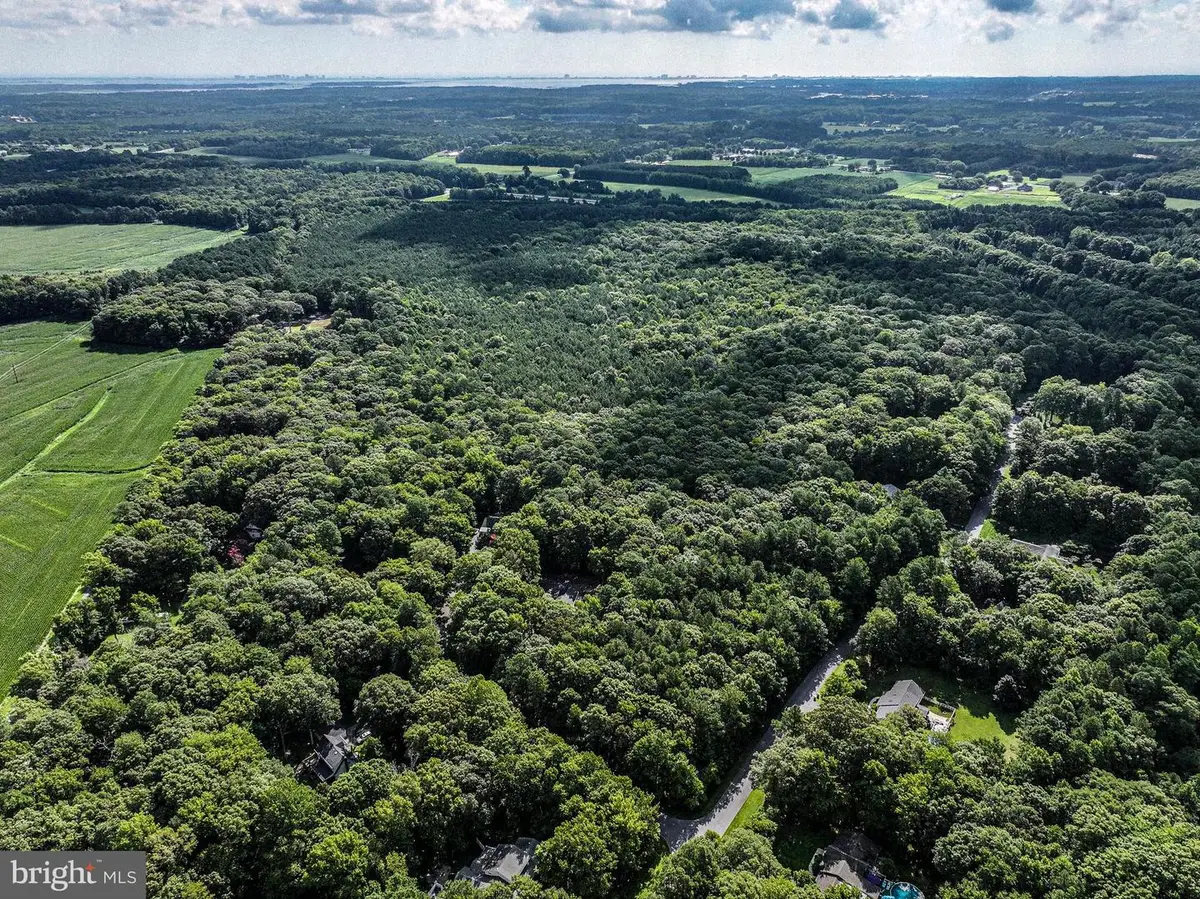 Martin Ct, Berlin, MD 21811 - #1