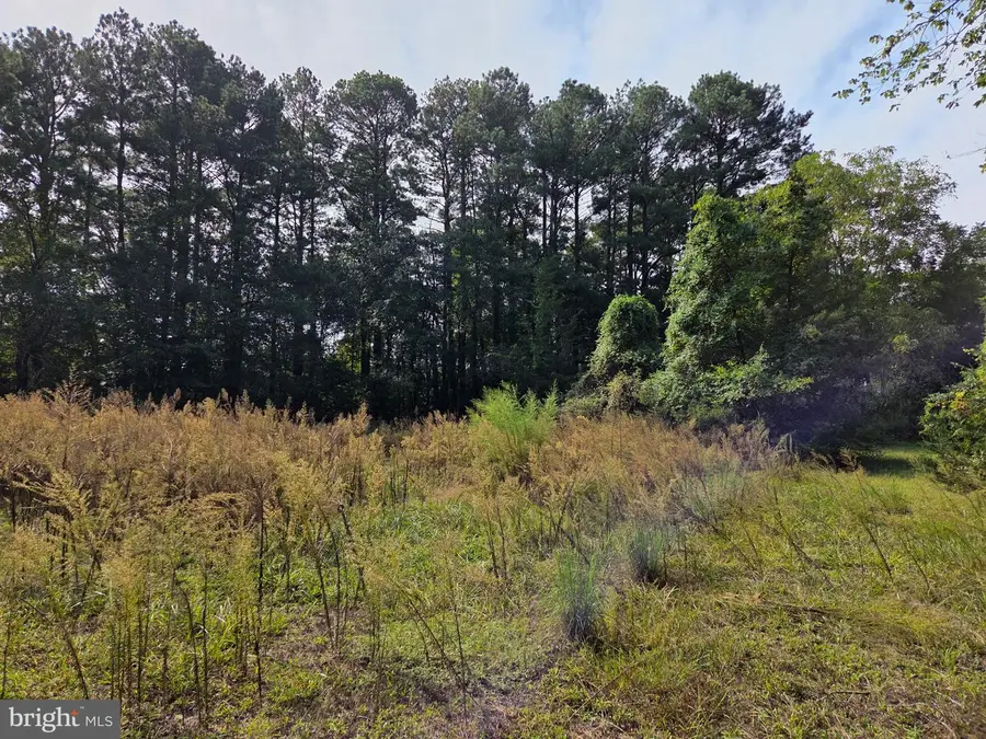 5514 E Market St, Snow Hill, MD 21863 - #3