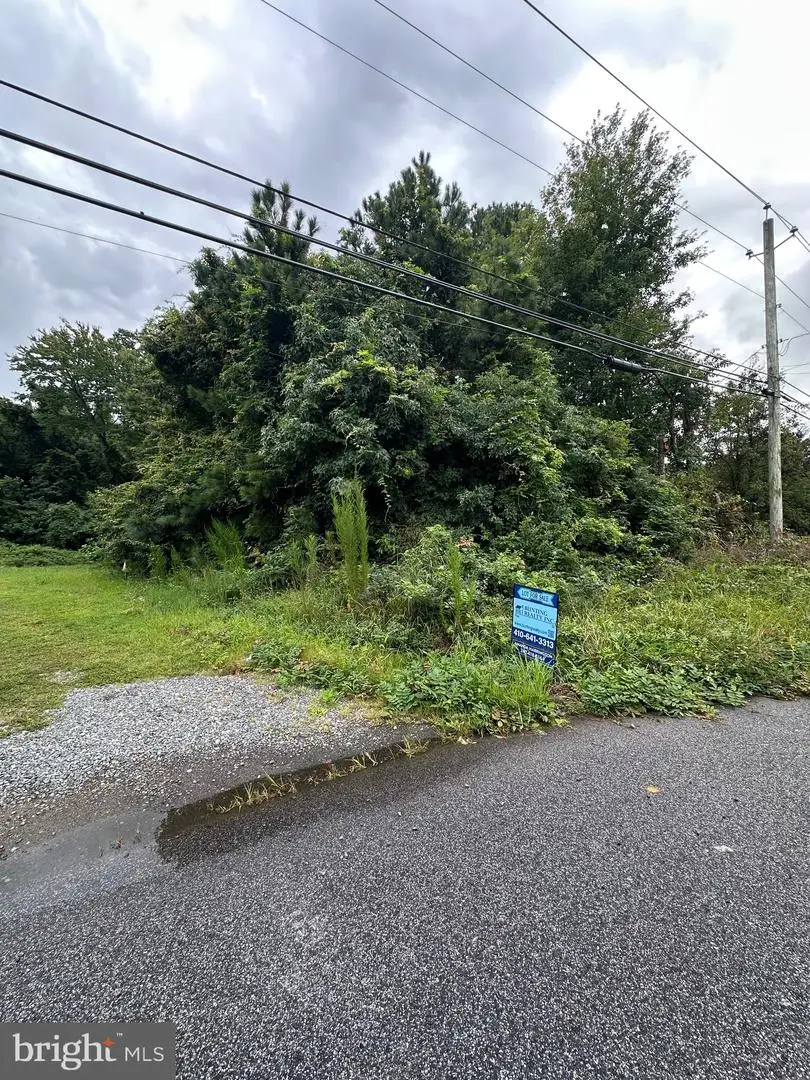 0 Old Ocean City Blvd, Berlin, MD 21811 - #2