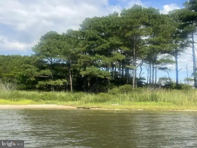 Corn Hammock Island, Bishopville, MD 21813 - #2
