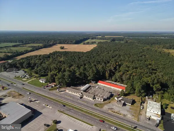 Old Virginia Rd, POCOMOKE CITY, MD 21851