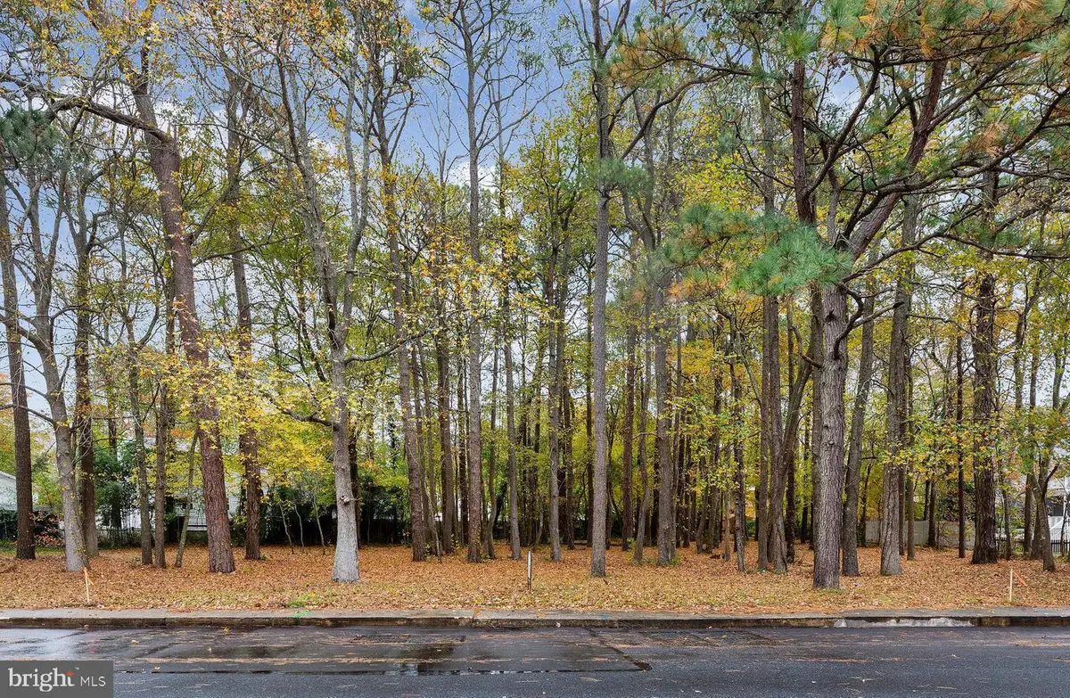 14102-b Tunnel Ave, Ocean City, MD 21842 - #1