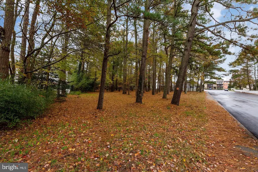 14102-b Tunnel Ave, Ocean City, MD 21842 - #3