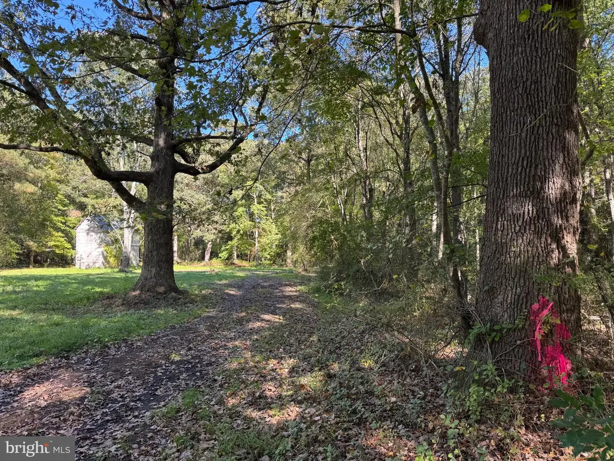 Lot 1 C Rd, Snow Hill, MD 21863 - #1