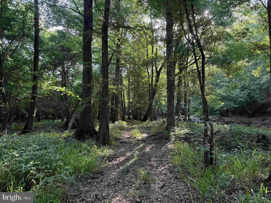 Sarecta Road (tract: Duplin), Kenansville, NC 99999 - #3