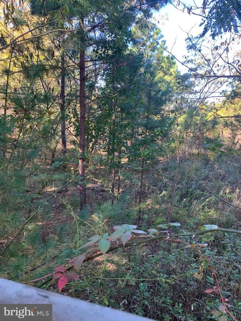 3061 Tremont Ave, Egg Harbor Township, NJ 08234 - Image #1