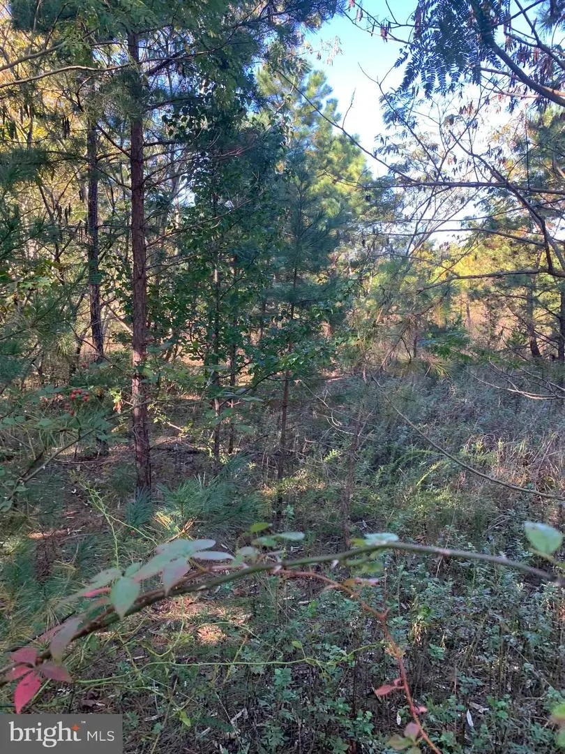 3061 Tremont Ave, Egg Harbor Township, NJ 08234 - Image #2