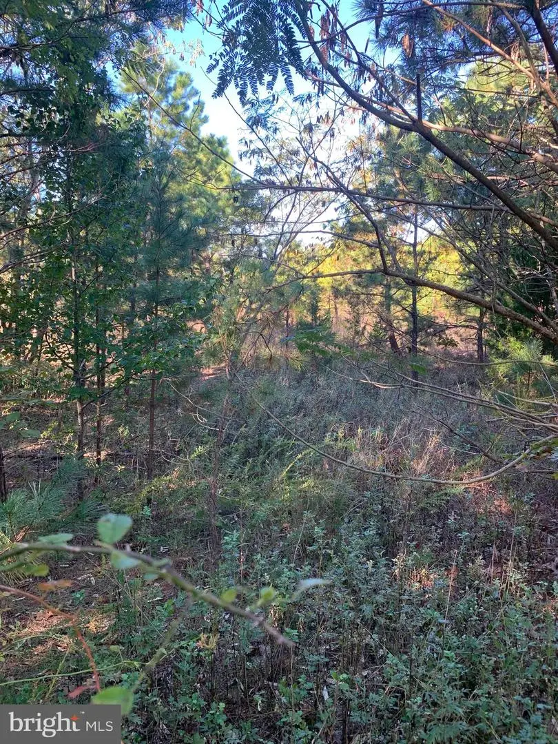 3061 Tremont Ave, Egg Harbor Township, NJ 08234 - Image #3