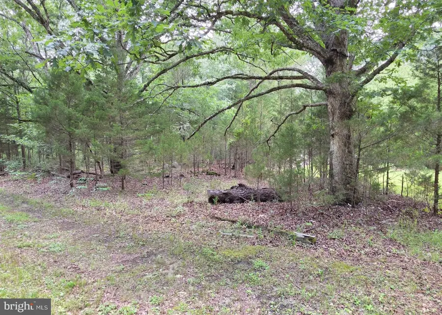 154 Twentyfourth Ave, Egg Harbor City, NJ 08215 - Image #3