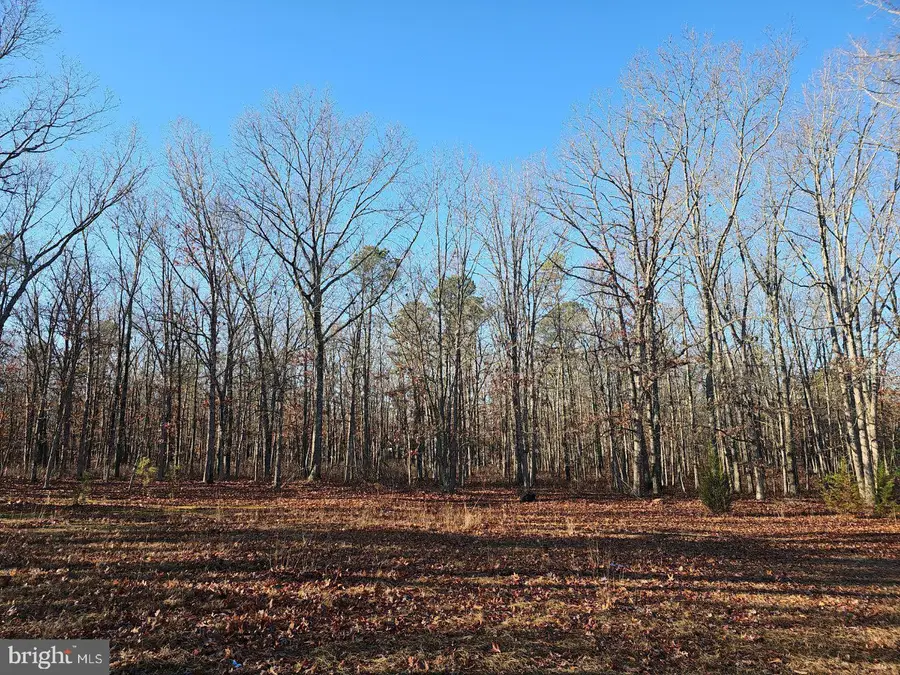 1930 Mccall Ave, Mays Landing, NJ 08330 - Image #2