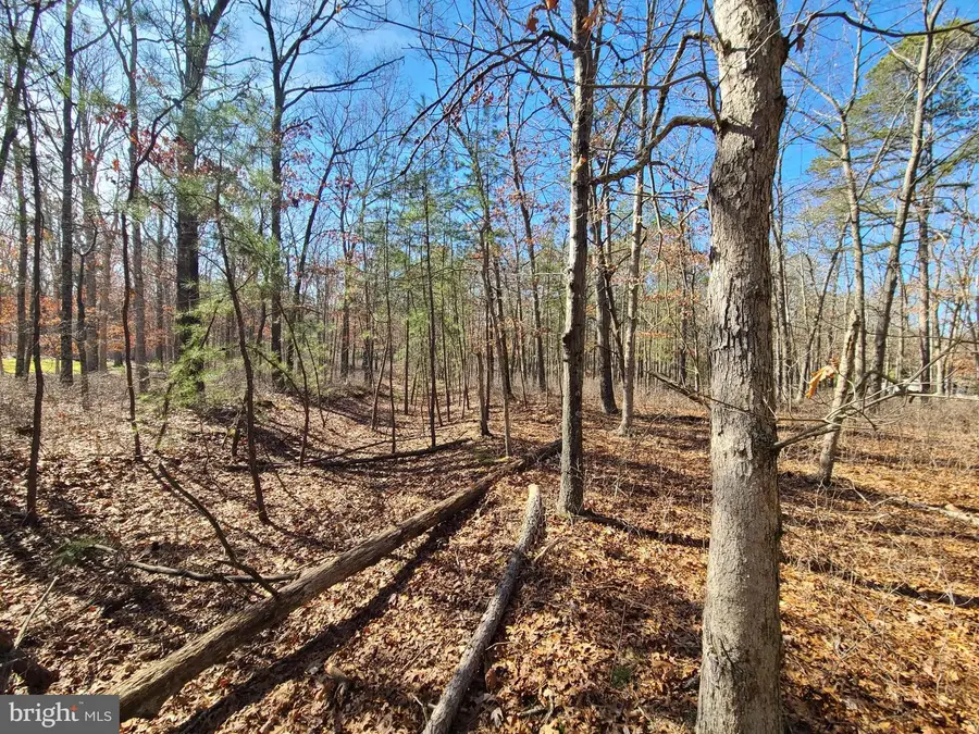 L7 Betsey Scull Rd, Egg Harbor, NJ 08234 - #3