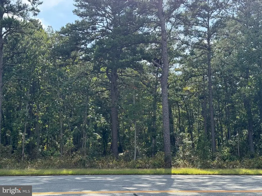Black Horse Pike, Hammonton, NJ 08037 - #2