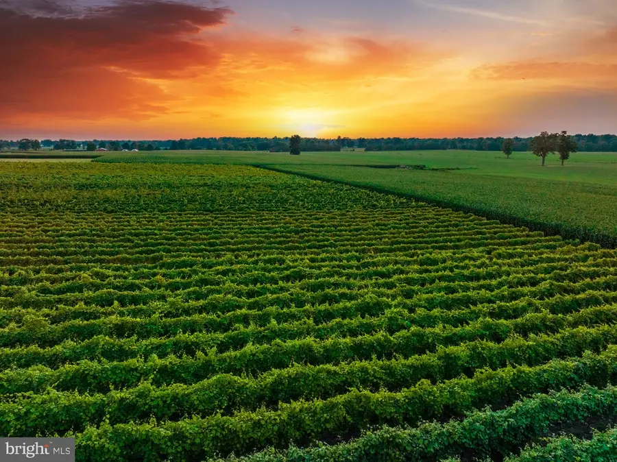 27058 Mount Pleasant Rd, Columbus, NJ 08022 - Image #3