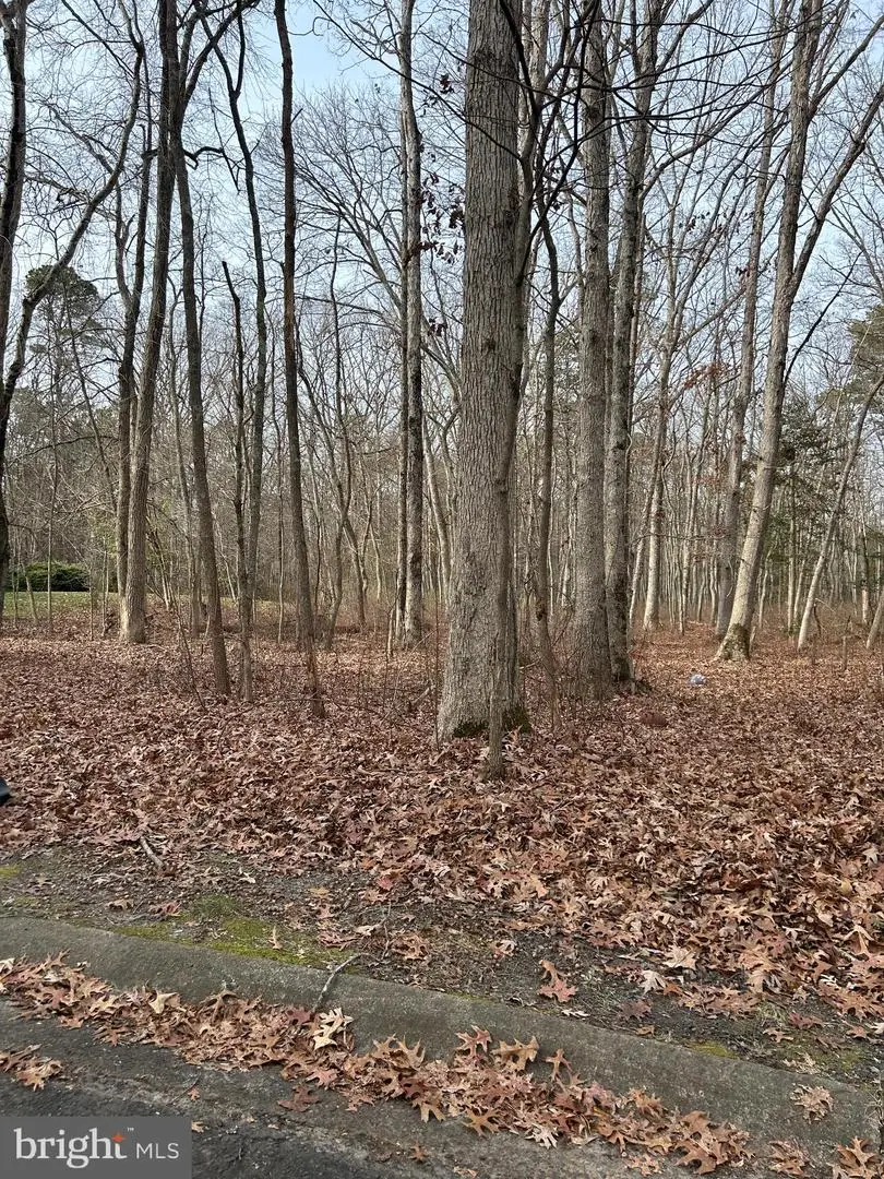 30 Muskingum Dr, Shamong, NJ 08088 - #3