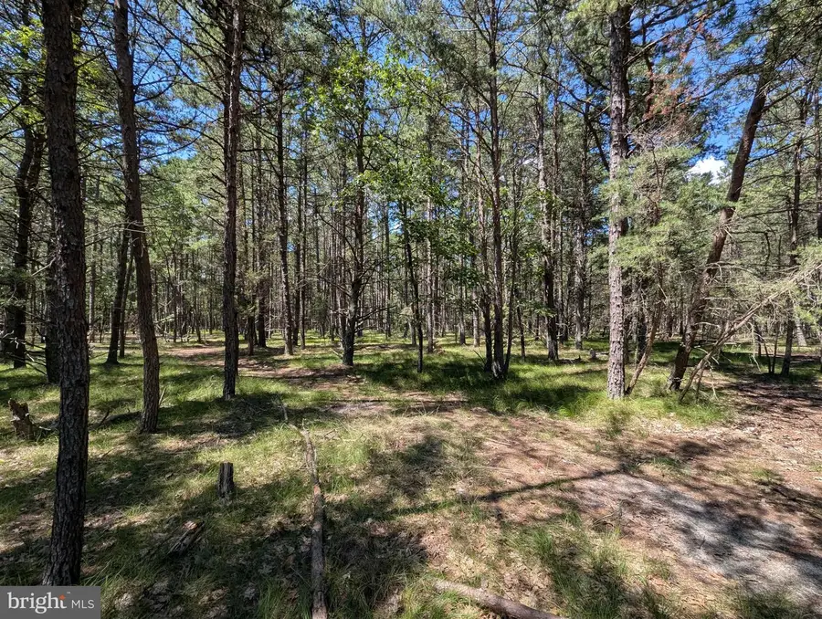 11 Beebe Ln, Southampton, NJ 08088 - #3