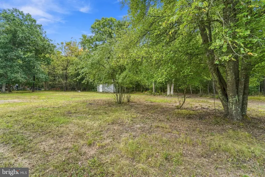 262 Mount Misery Rd, Browns Mills, NJ 08015 - #3