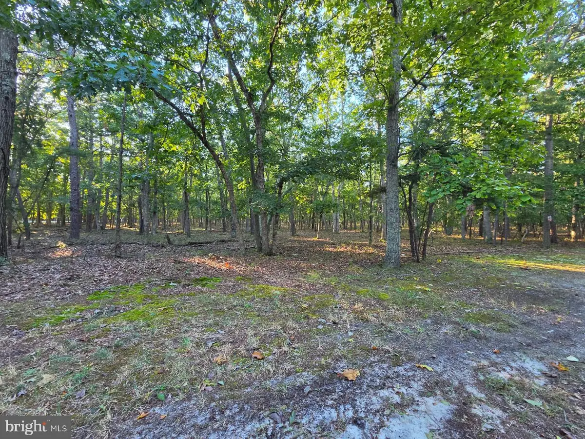 2 Red Onion Ct #0, Tabernacle, NJ 08088 - #1