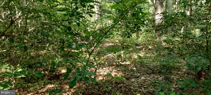 #3