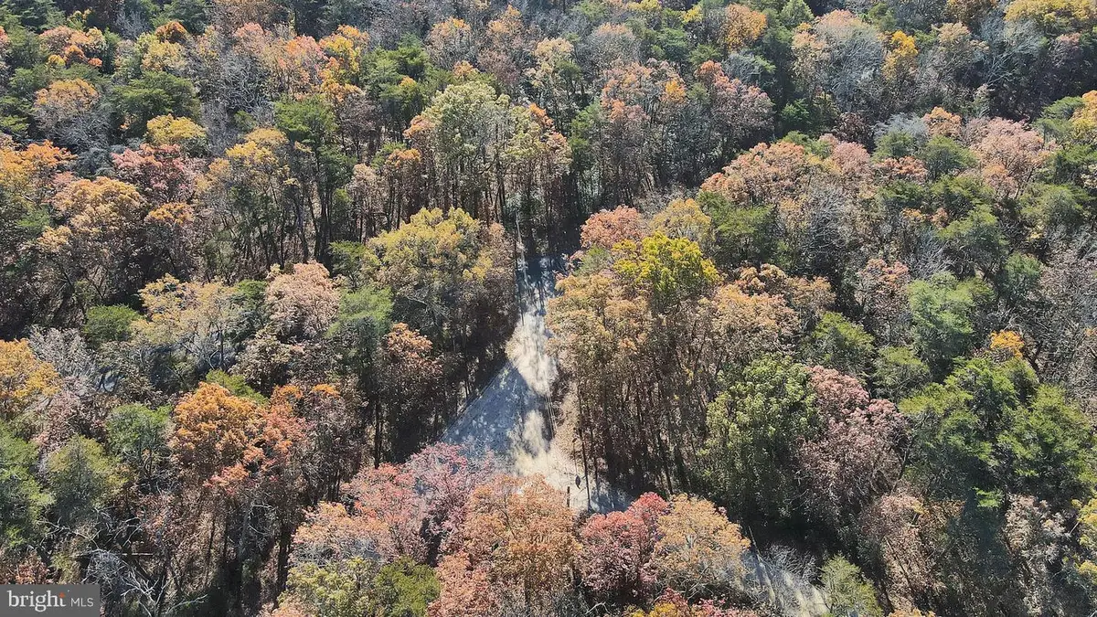 Carpenter Ave, Centre Grove, NJ 08332 - Image #1