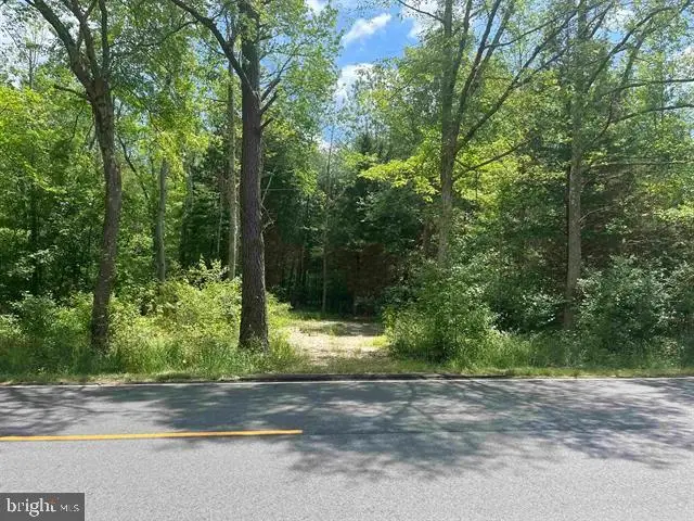 James Moore Rd, Port Norris, NJ 08349 - Image #2