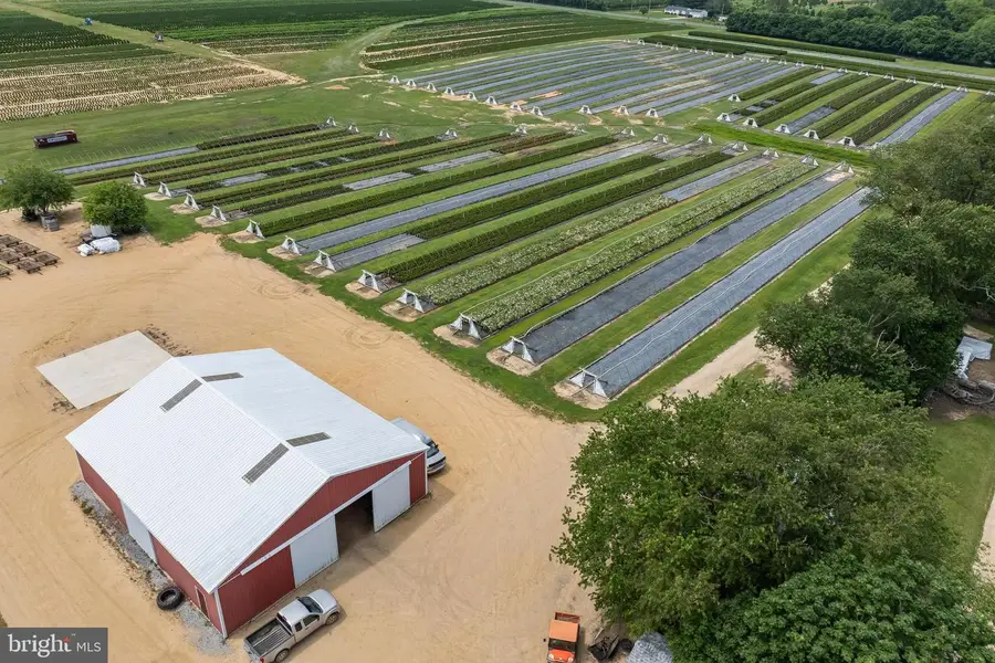 0 Harmony Rd, Bridgeton, NJ 08302 - Image #3