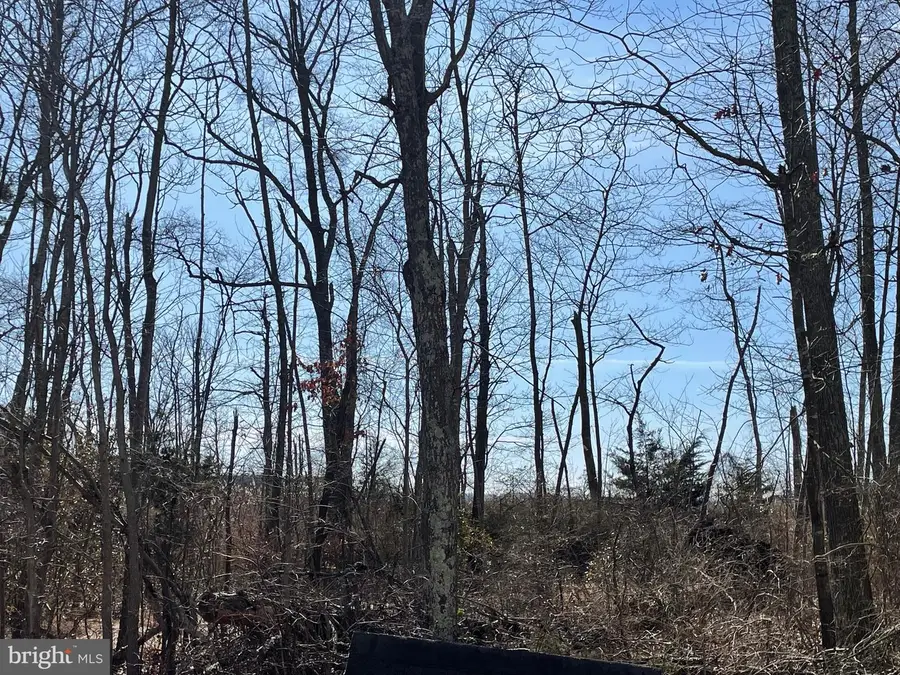 4578 Route 47, Delmont, NJ 08314 - #3