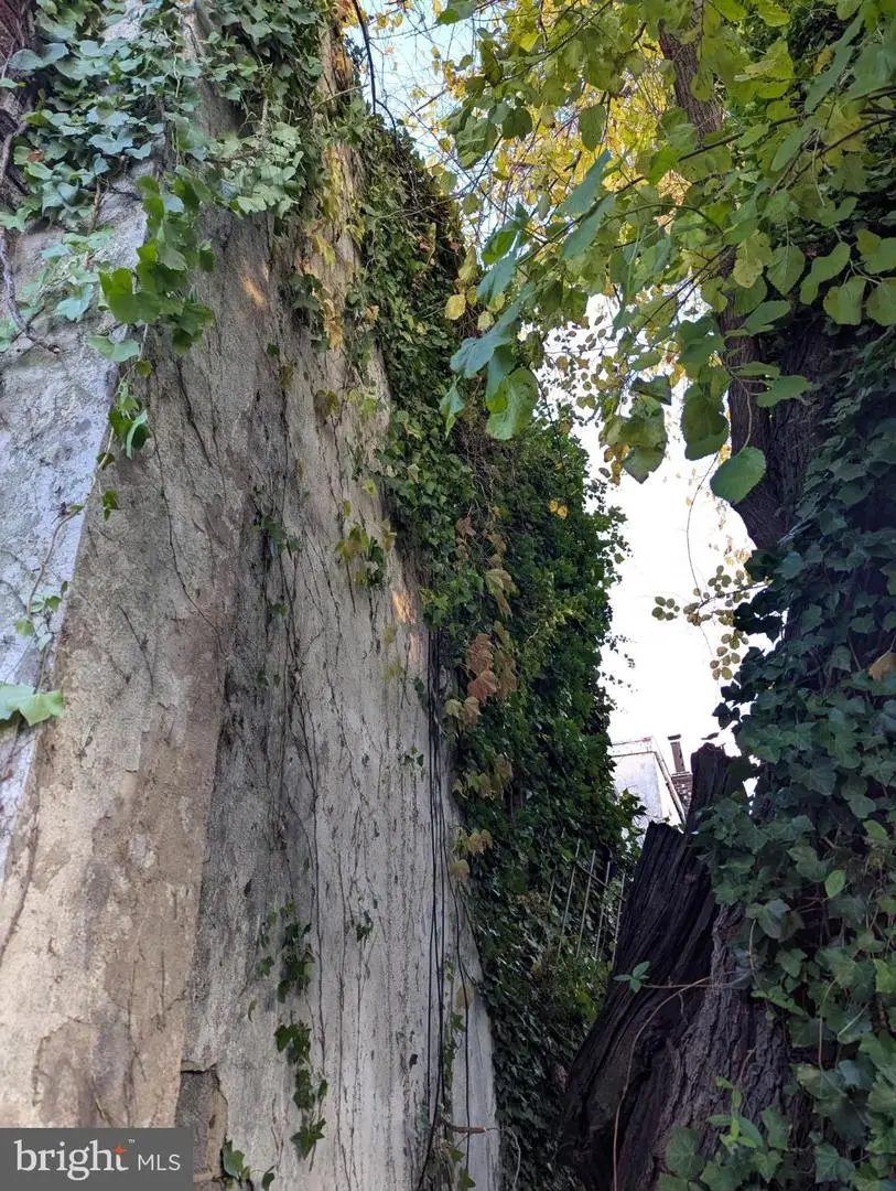 341 Marlton Ave, Camden, NJ 08105 - Image #2