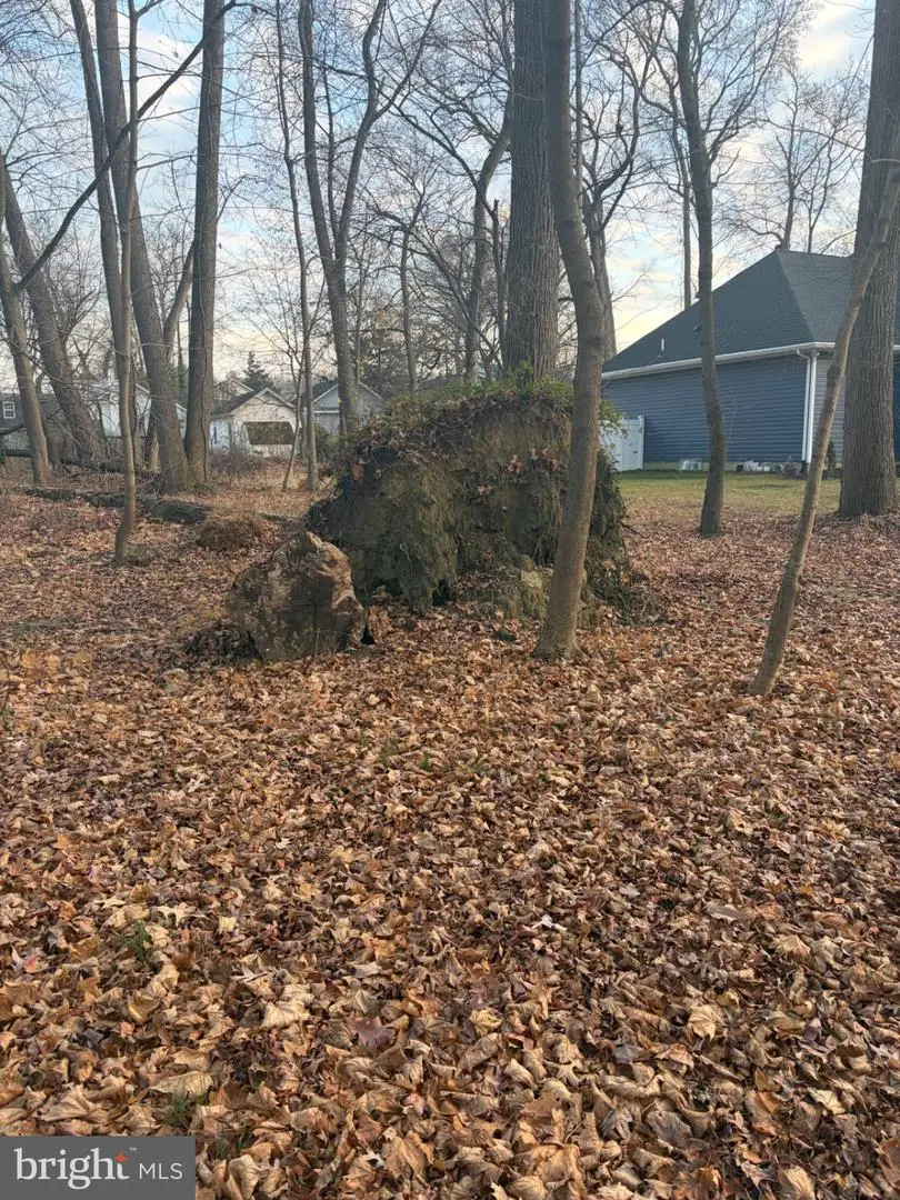 1413 Locust Ave, Voorhees, NJ 08043 - Image #3